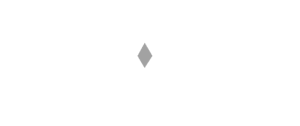 valueneurs logo